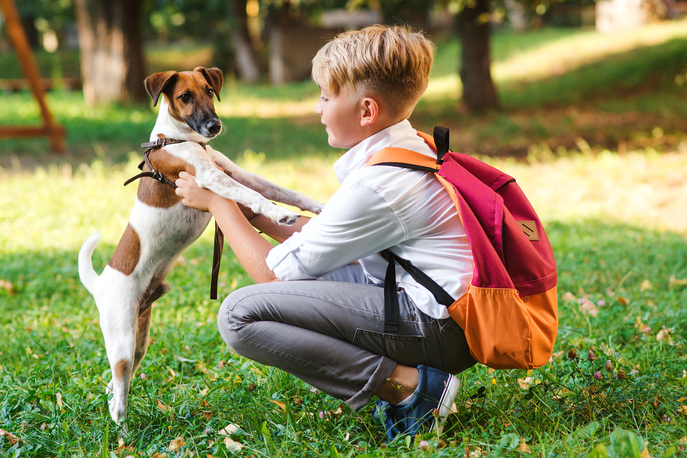 Back to School Safety Do s and Don ts for Your Pet Westerville Pets