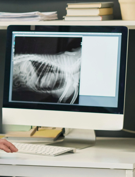 Signs Your Dog May Need Diagnostic Testing