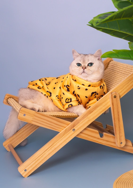Causes of Pain in Cats